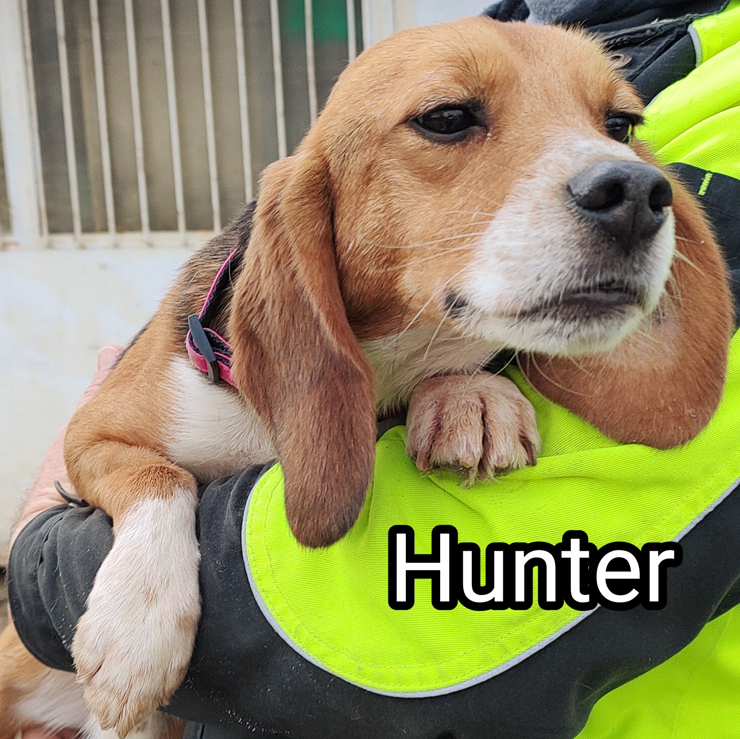 Hunter1