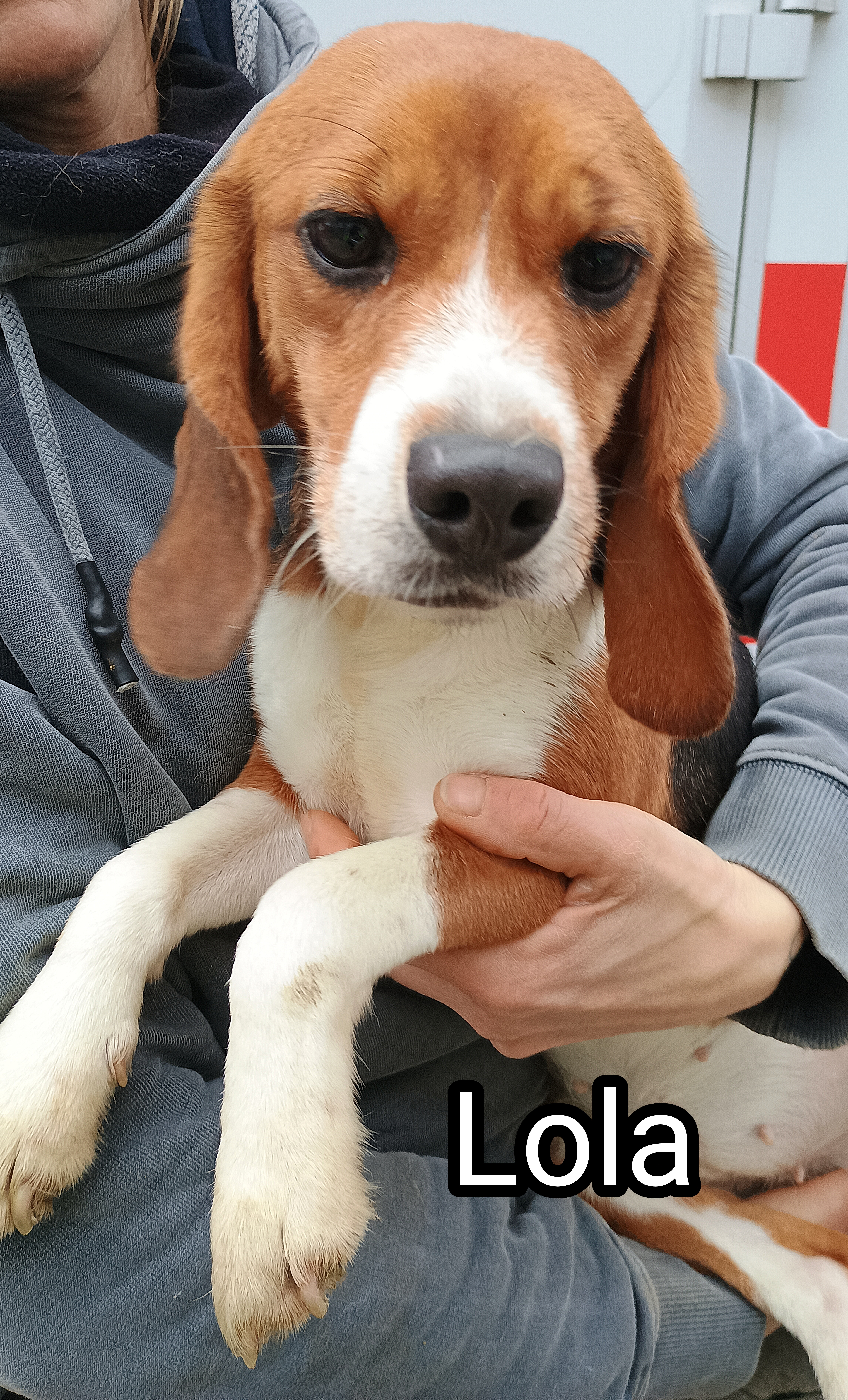 Lola1